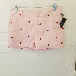 Jones New York Women's Size 6 Pink Shorts, NWT